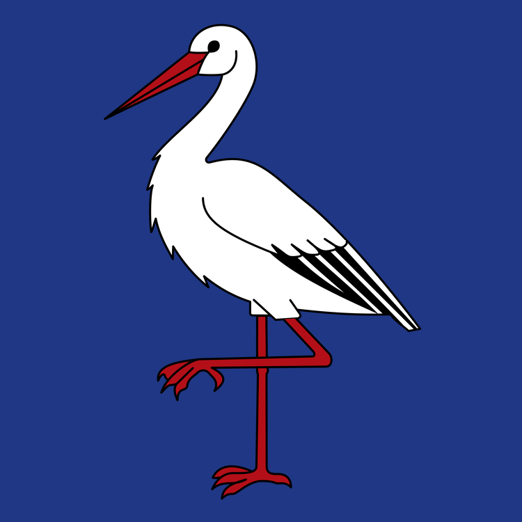 Pelican,Charadriiformes,Pelecaniformes