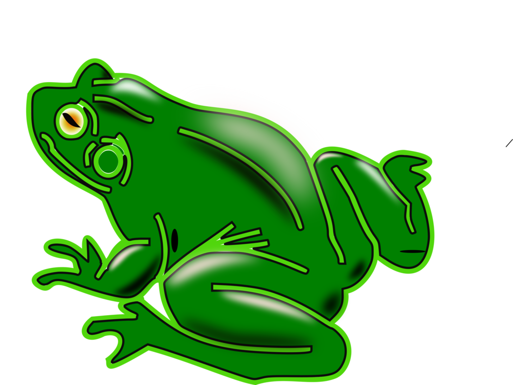 Toad,Grass,Vertebrate