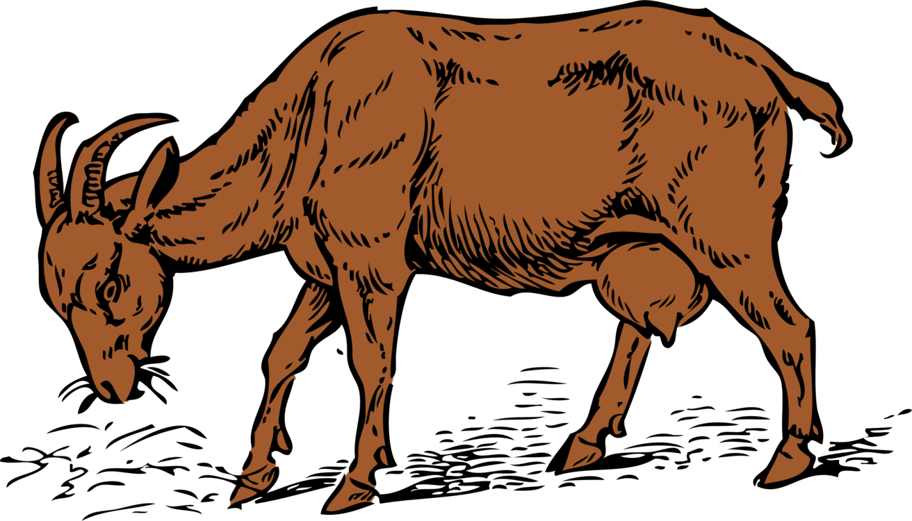 Donkey,Livestock,Bull