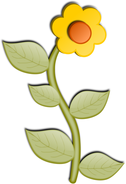 Plant,Flora,Petal