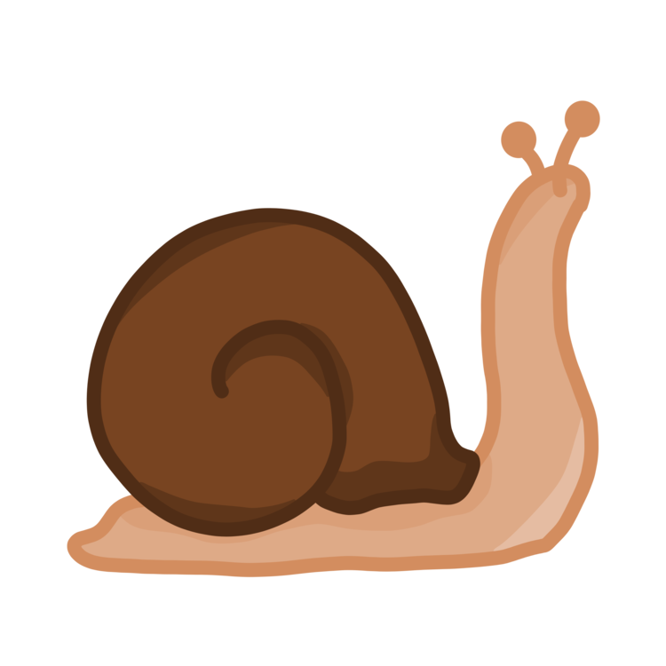 Stomach,Snail,Invertebrate