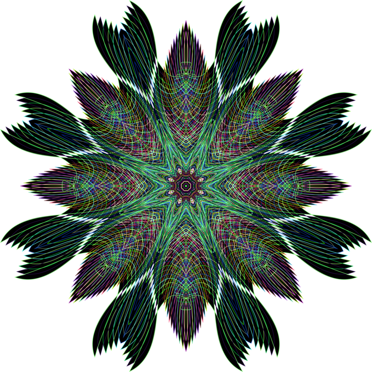 Leaf,Plant,Symmetry