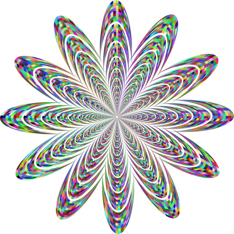 Leaf,Symmetry,Line