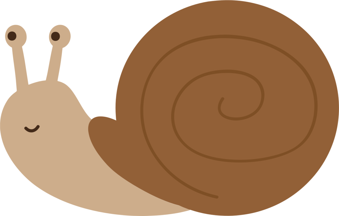 Snail,Invertebrate,Snails And Slugs