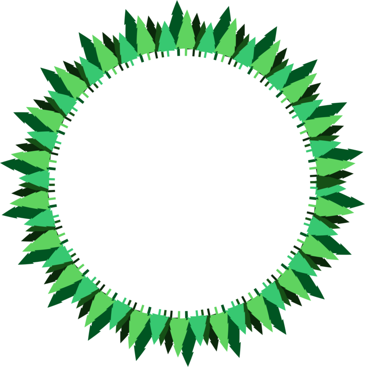 Leaf,Symmetry,Tree