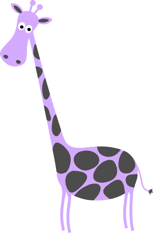 Giraffidae,Pink,Wildlife