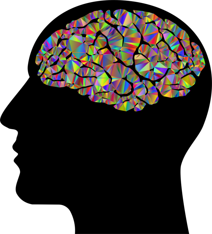 Brain,Cap,Human Behavior