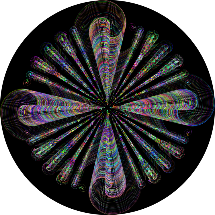 Circle,Organism,Spiral