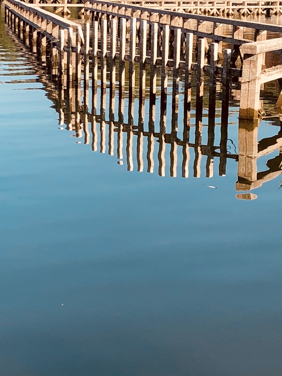 Reflection,Dock,Fixed Link