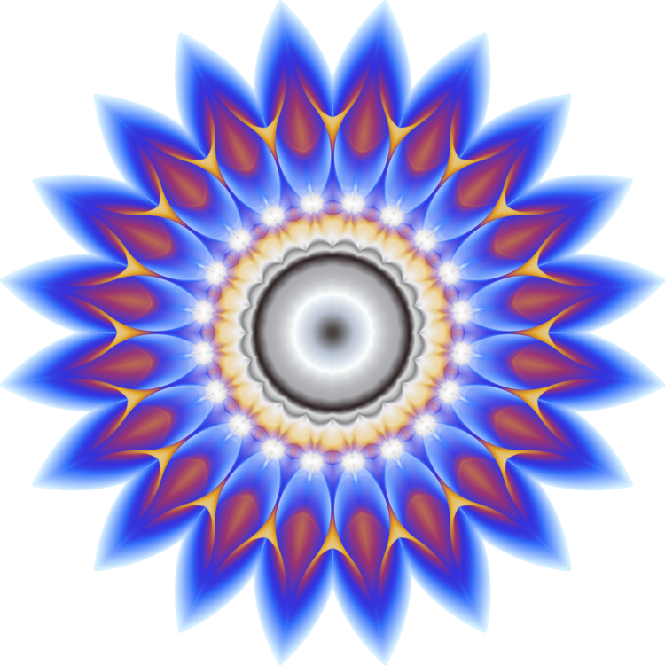 Blue,Eye,Symmetry