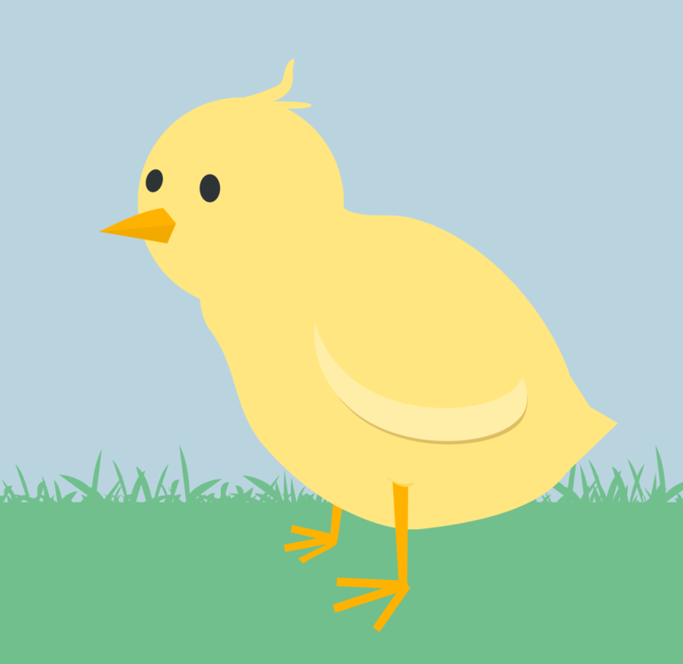 Water Bird,Yellow,Beak