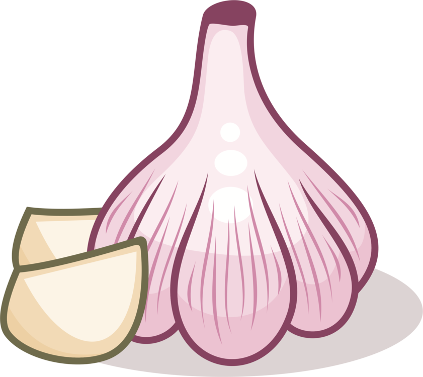 Plant,Onion,Allium