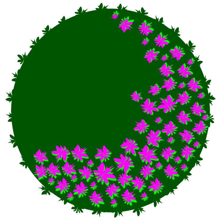 Plant,Flower,Circle