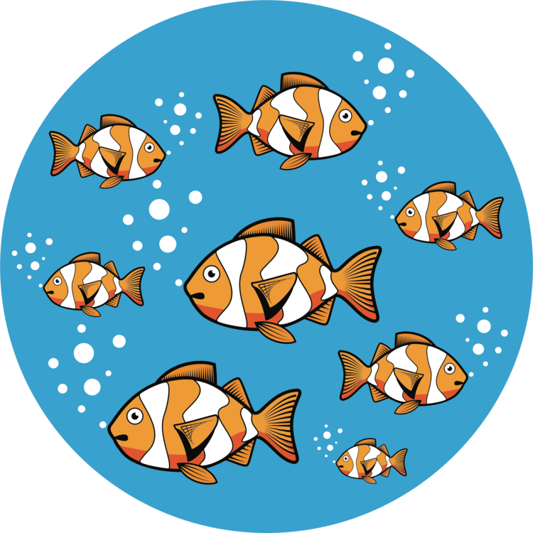 Anemone Fish,Fish,Pomacentridae