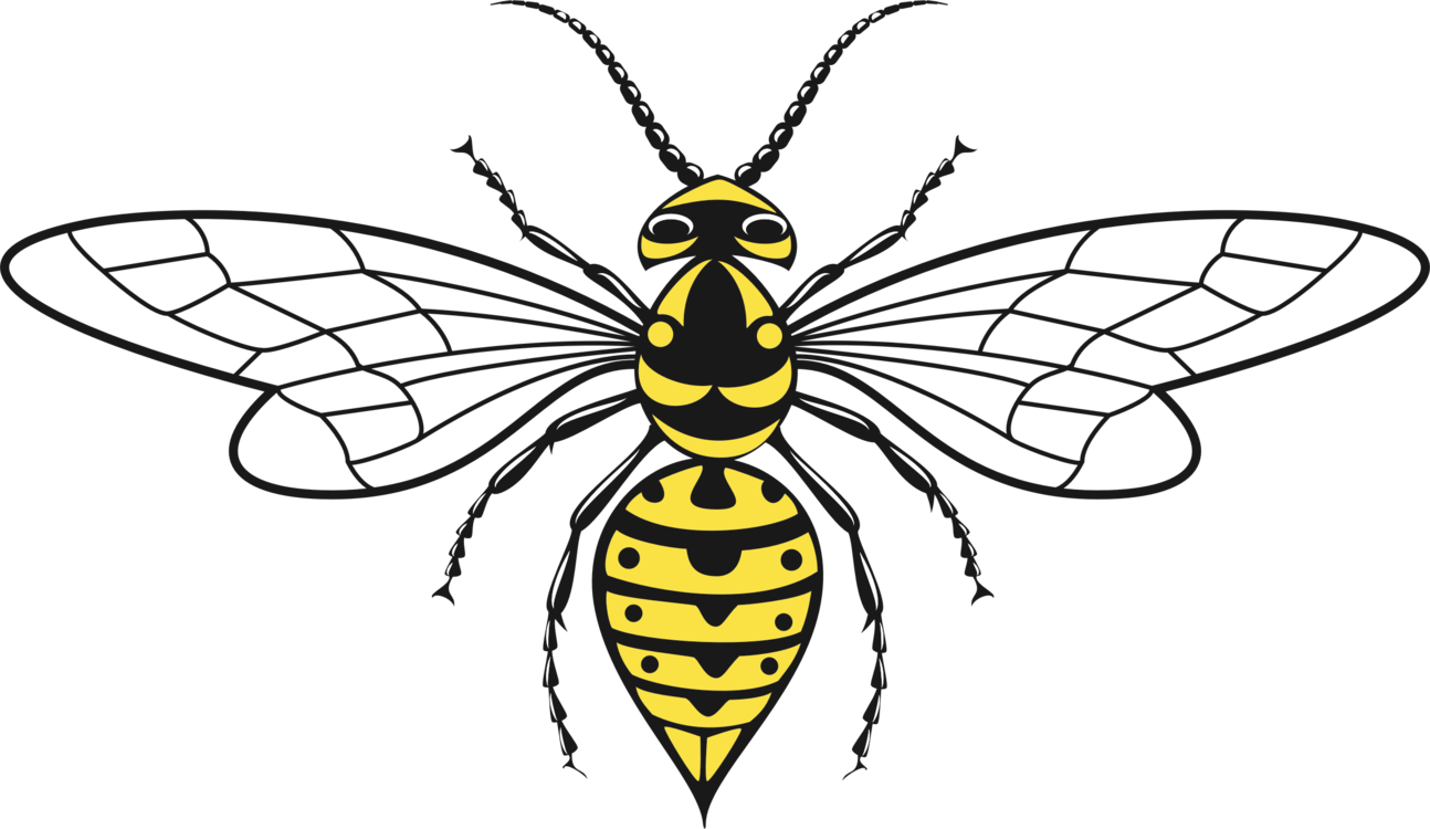Organism,Honeybee,Symmetry