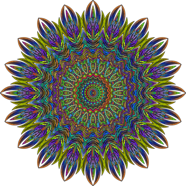 Sunflower,Symmetry,Circle