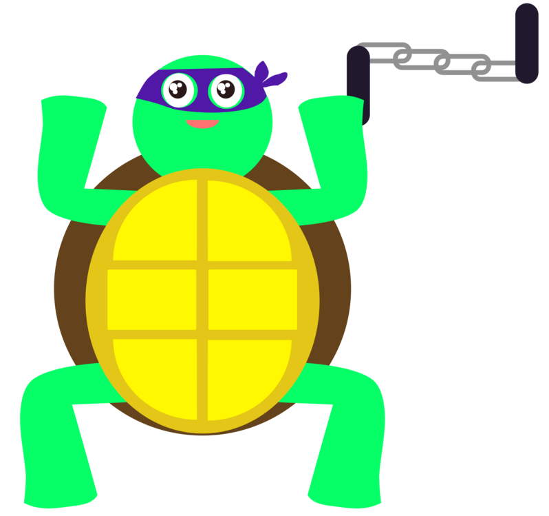 Turtle,Tortoise,Sea Turtle