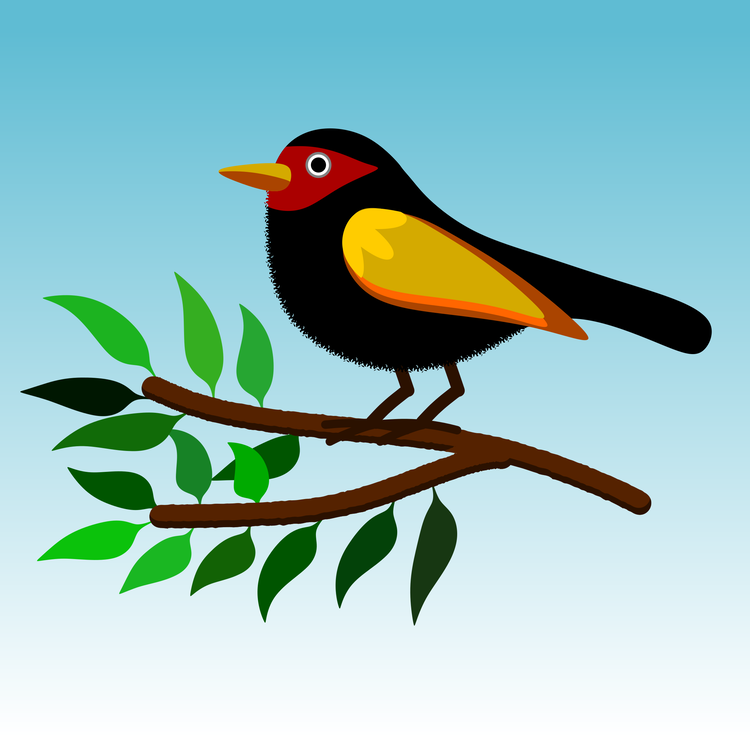 Perching Bird,Western Tanager,Scarlet Tanager