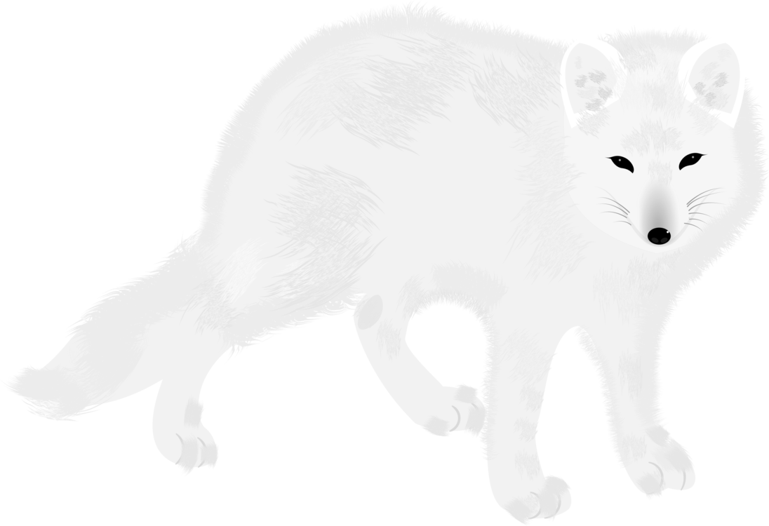 arctic animals black and white clipart