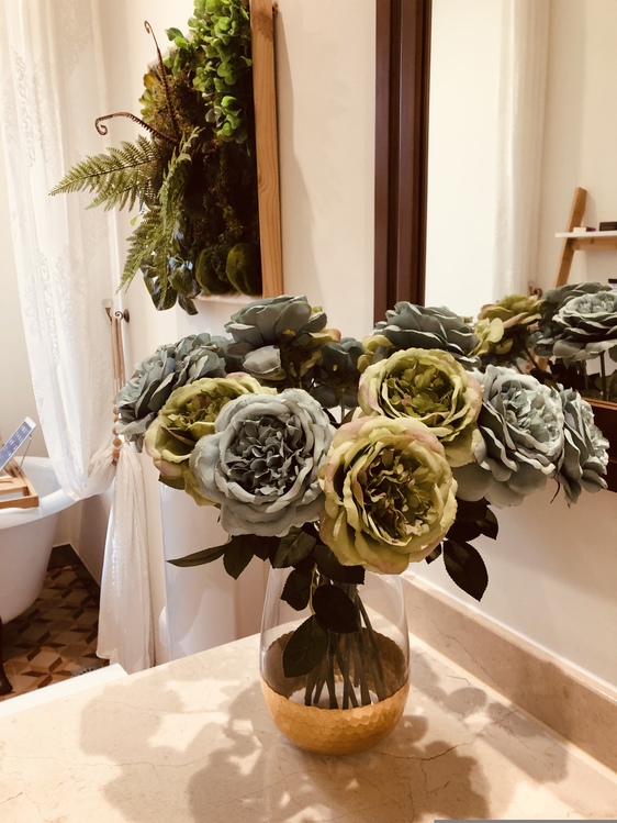 Plant,Flower,Room