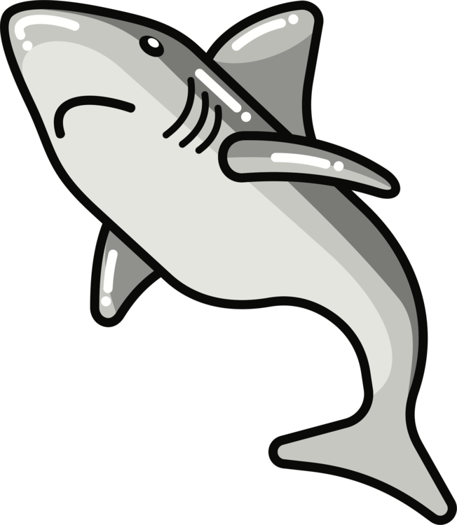 Download Line Art Tail Killer Whale Png Clipart Royalty Free Svg Png