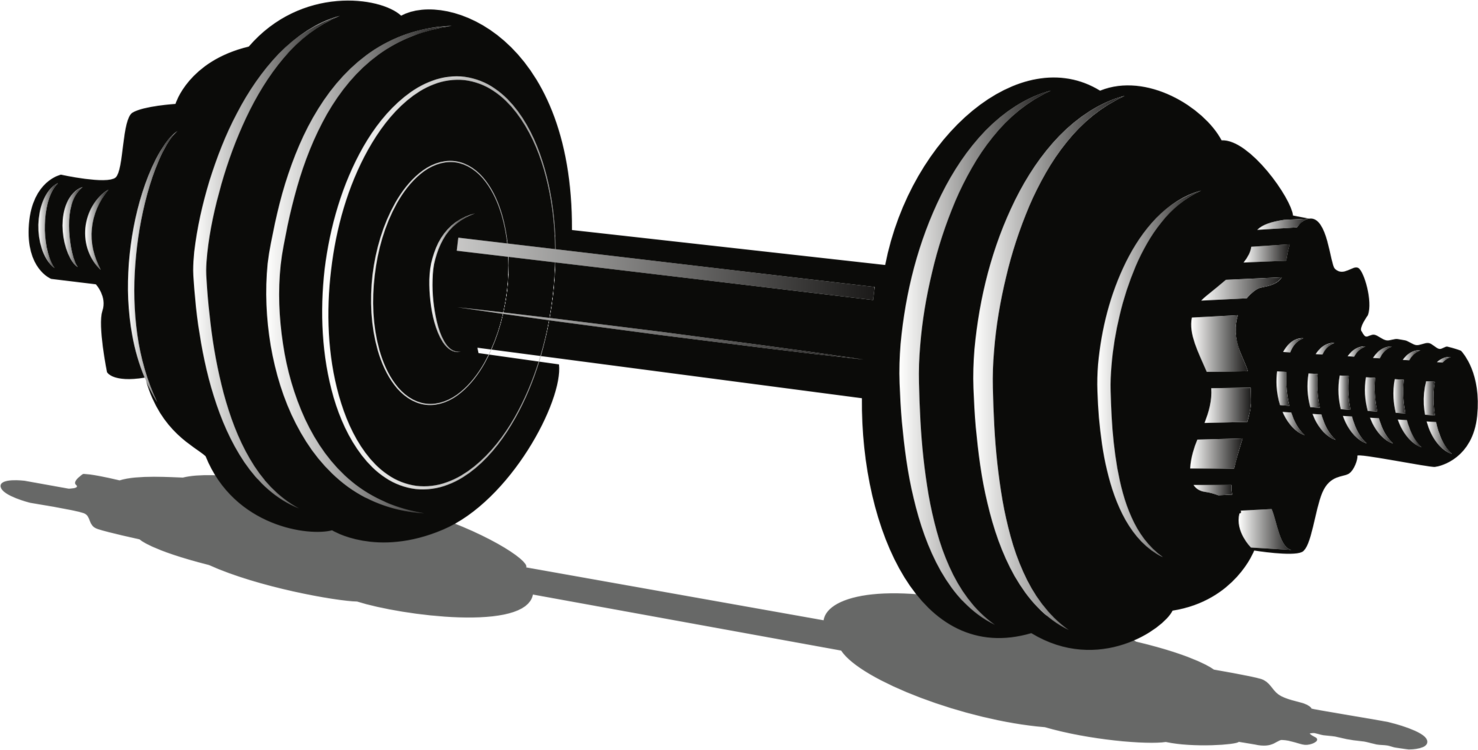 Download Wheel Weight Training Exercise Equipment Png Clipart Royalty Free Svg Png