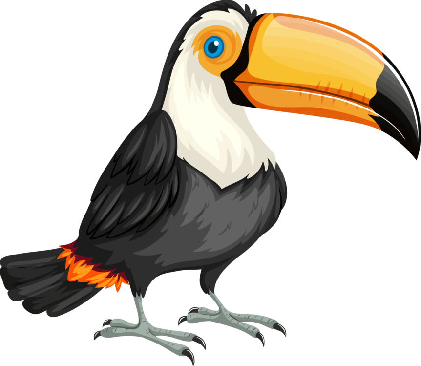 Hornbill,Flightless Bird,Vertebrate