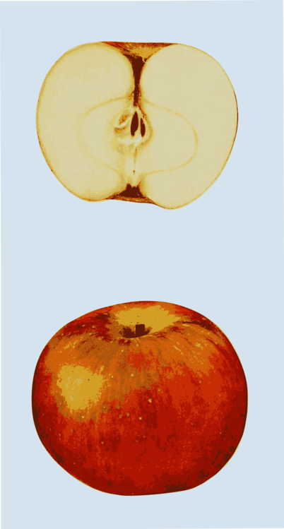 Plant,Apple,Peach