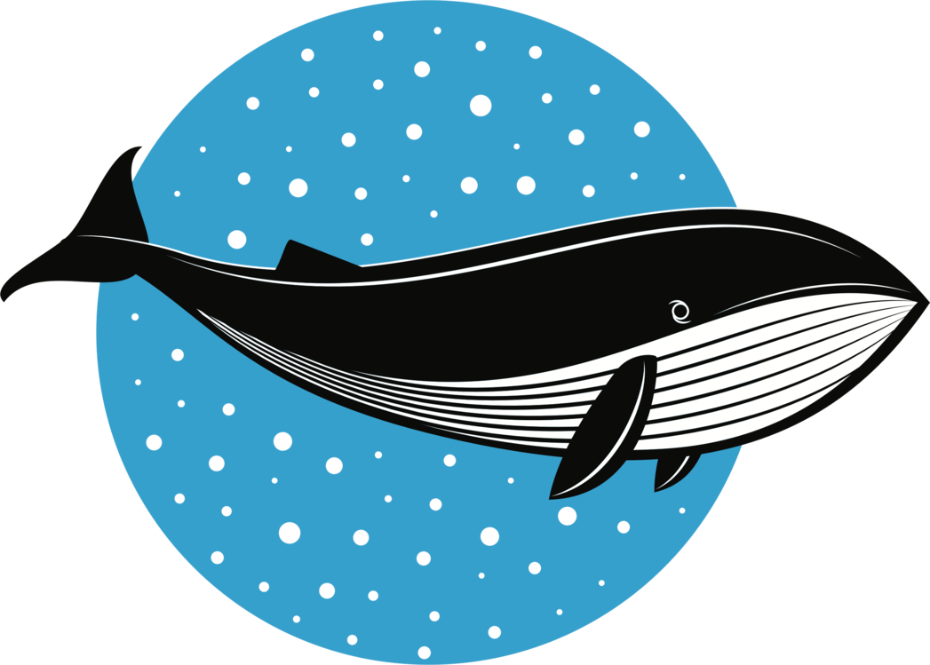 Blue Whale,Bowhead,Dolphin