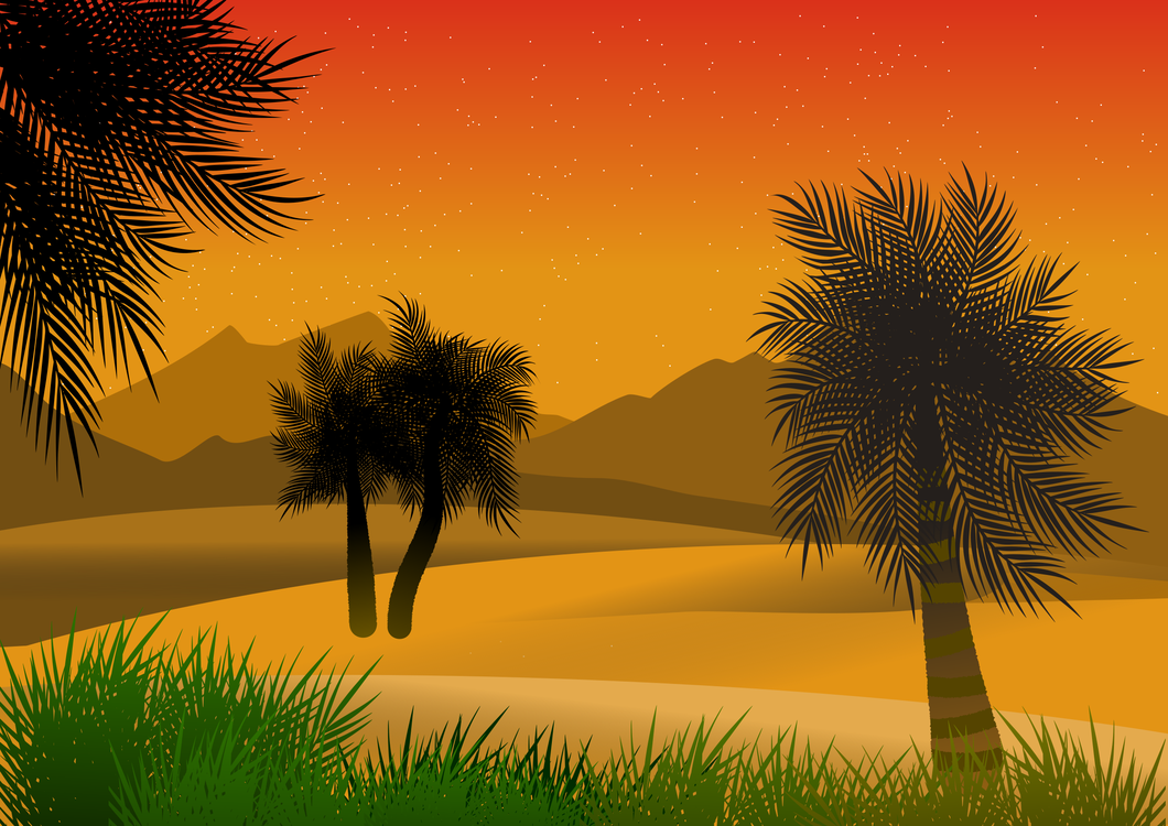 Sky,Palm Tree,Calm