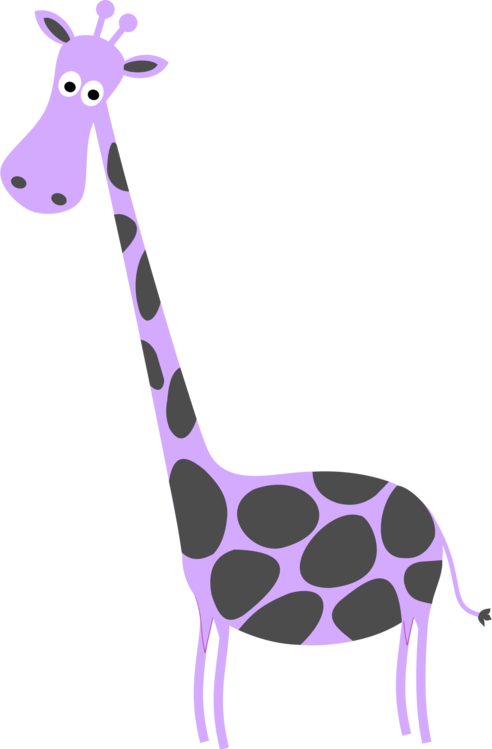 Giraffidae,Pink,Wildlife