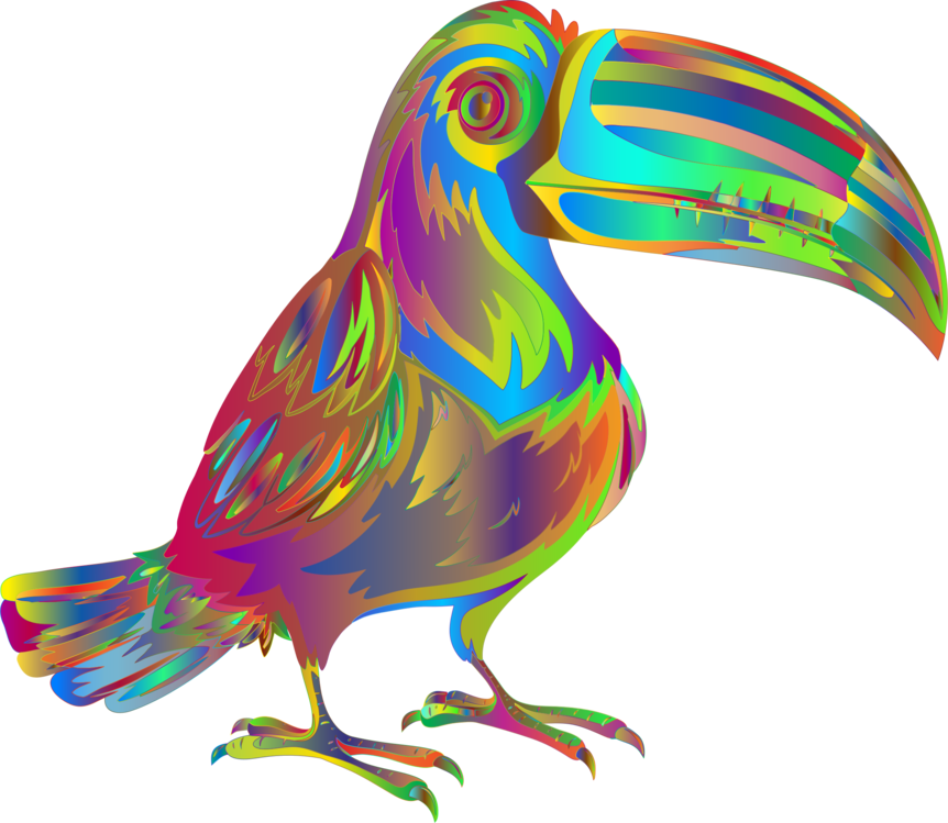 Bird,Toucan,Piciformes