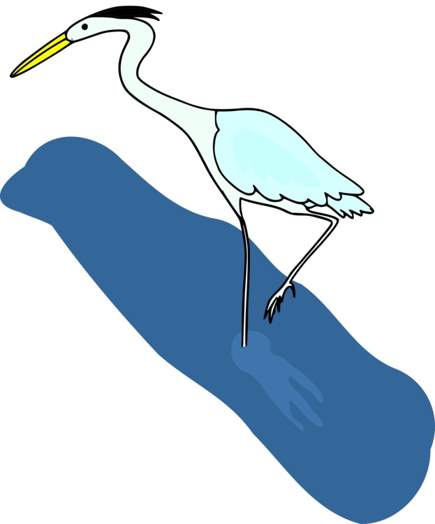 Egret,Whooping Crane,Crane
