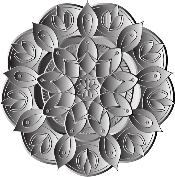 Plant,Circle,Symmetry