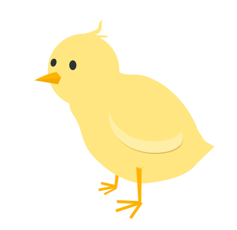 Water Bird,Bird,Yellow