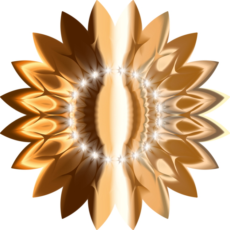 Sunflower,Petal,Metal