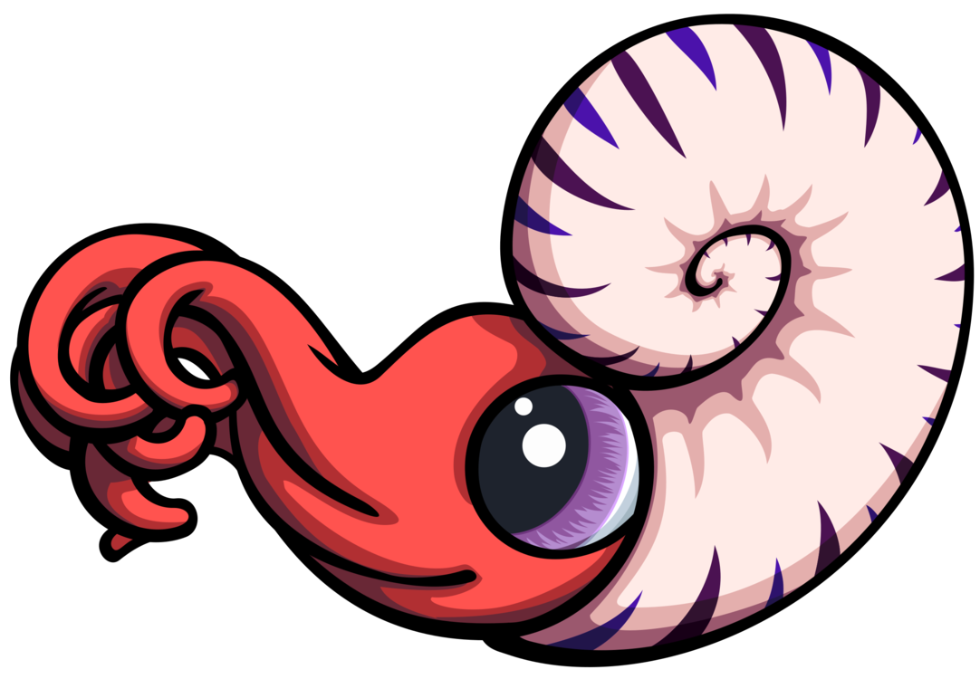 Nautilus,Spiral,Sea Snail