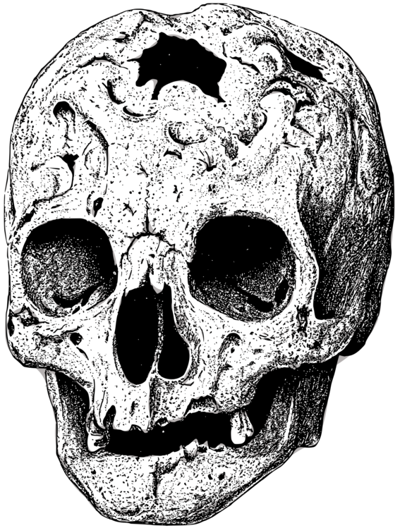 Head,Skeleton,Skull