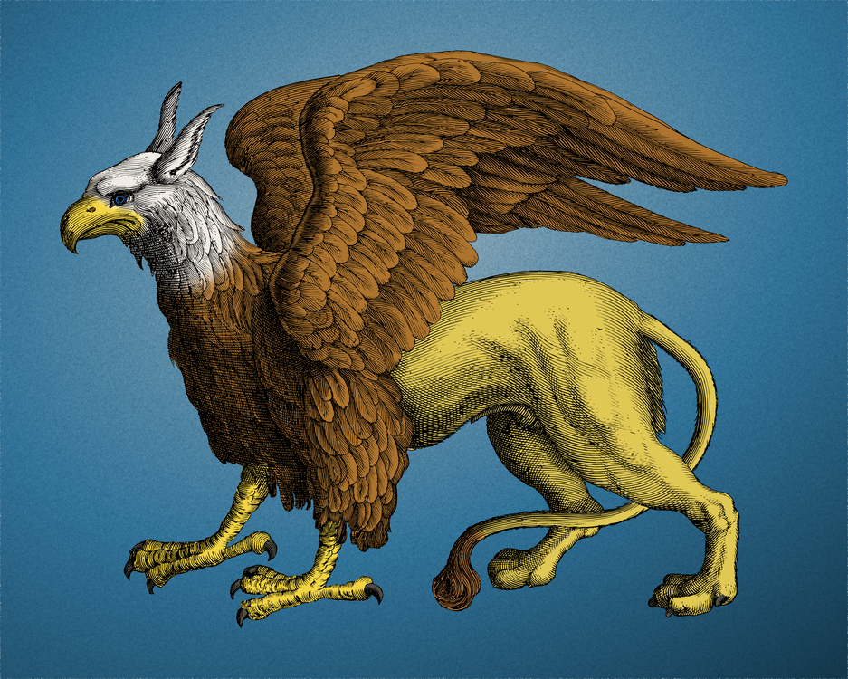 Eagle,Wildlife,Falconiformes