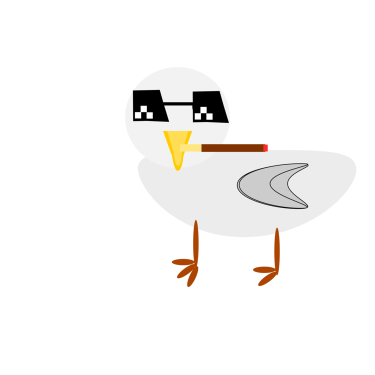 Logo,Seabird,Bird