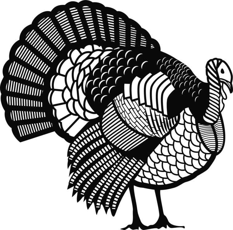 wild turkey clipart black and white
