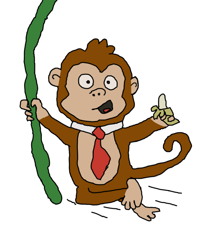 Primate,Old World Monkey,New World Monkey