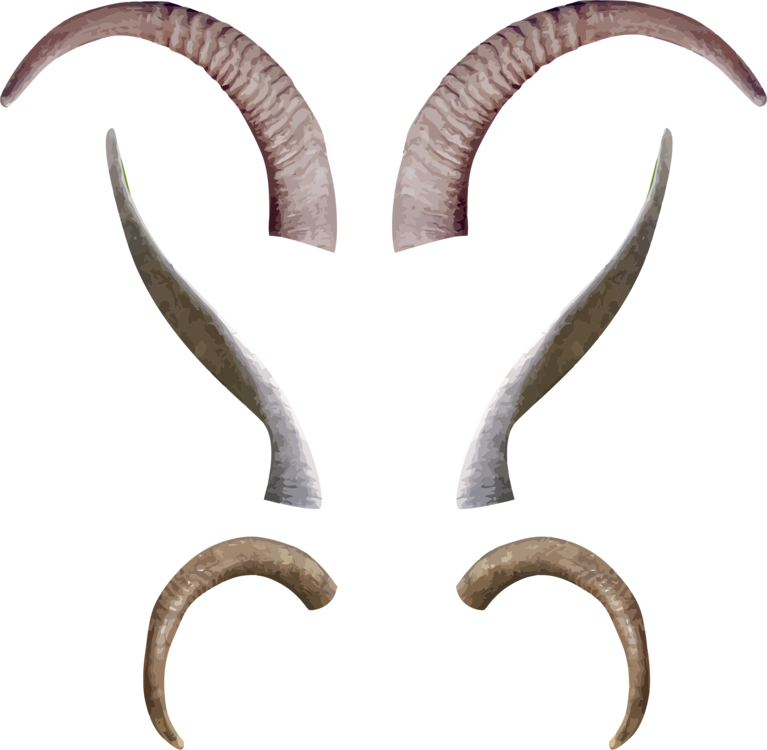Claw,Antelope,Goats