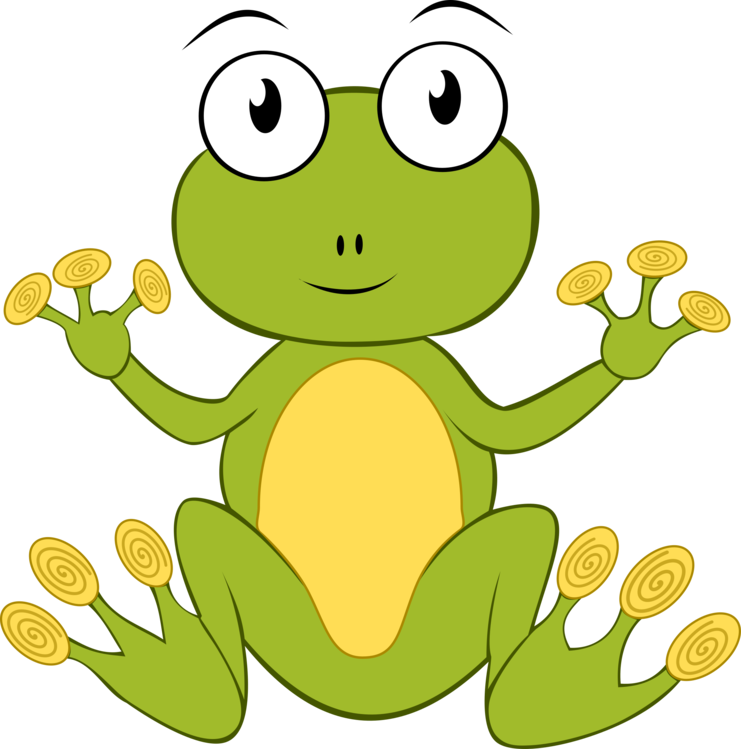 Shrub Frog,Plant,Leaf