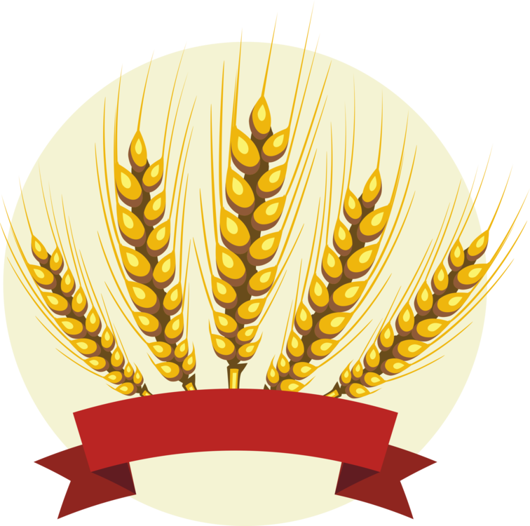 Grass Family Wheat Food Grain Png Clipart Royalty Free Svg Png