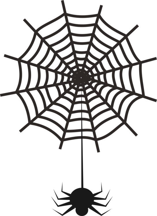 Line Art,Spider Web,Symmetry