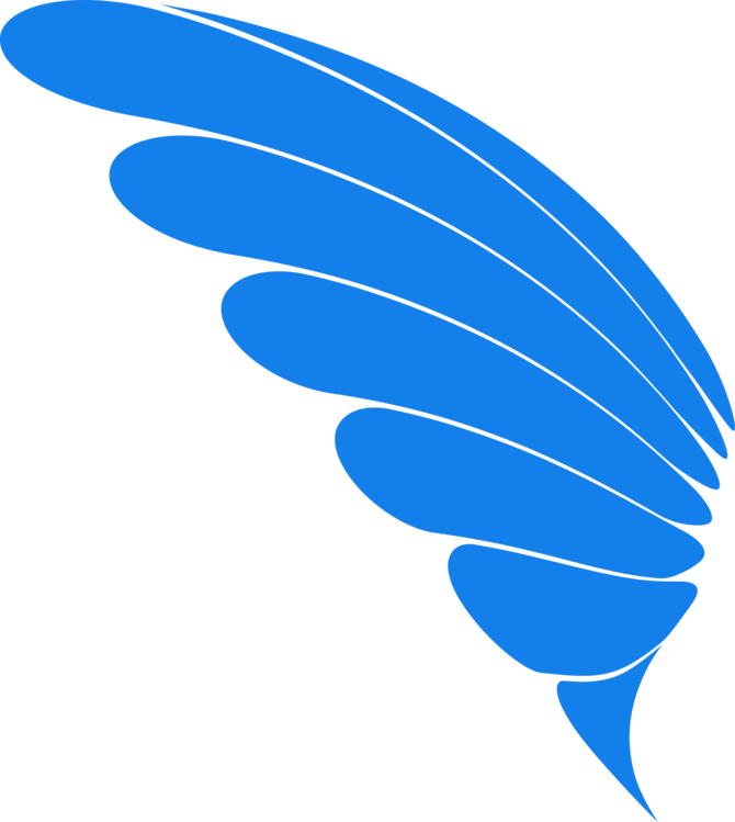 Blue,Electric Blue,Feather