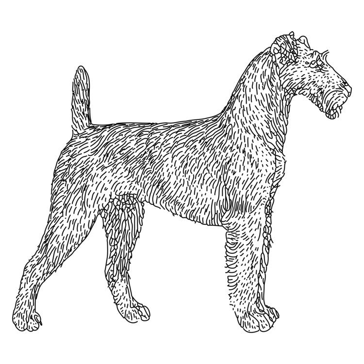 Ancient Dog Breeds,Line Art,Carnivore