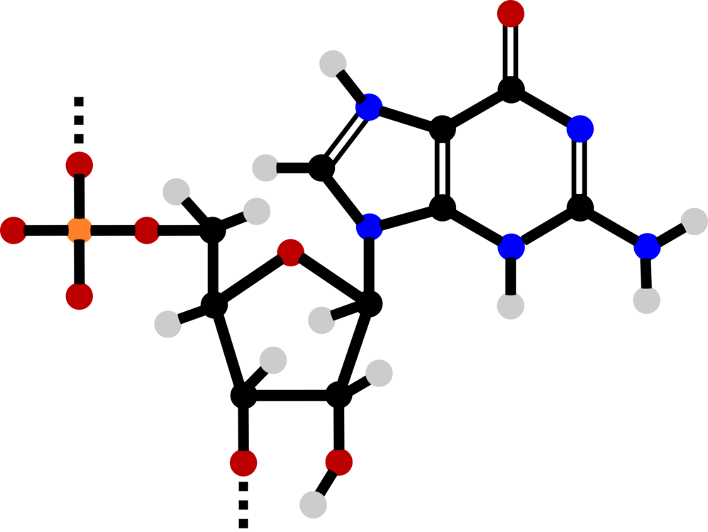 Diagram,Line,Nucleotide