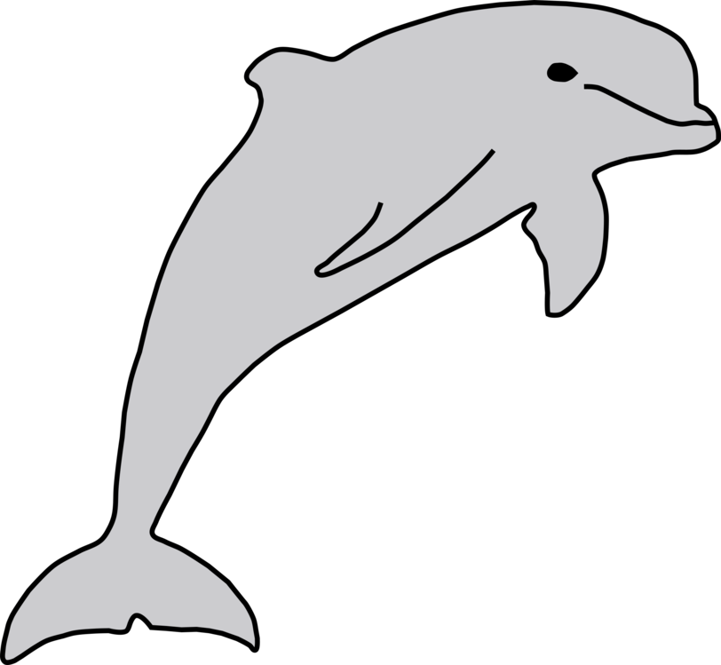 Whitebeaked Dolphin,Shortbeaked Common Dolphin,Tucuxi